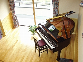 sa piano.jpg